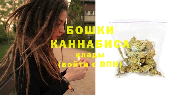 трава Арсеньев