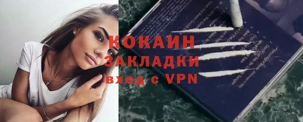 хмурый Белая Холуница