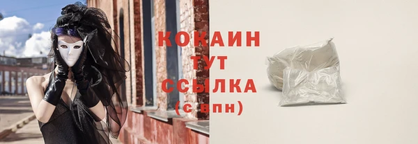 шишки Армянск