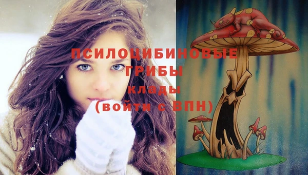стаф Семилуки