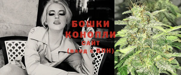 шишки Армянск