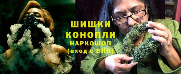шишки Армянск